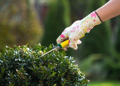 Transparent pricing for garden services in Mortlake