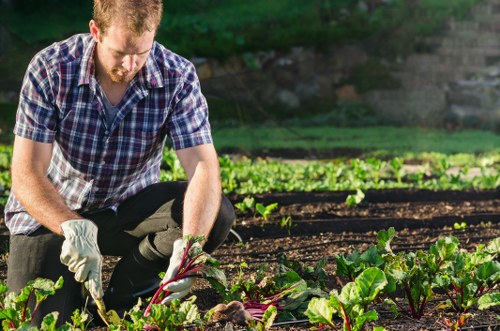Gardening services in Mortlake for a neatly maintained local garden