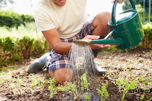 Seasonal planting scheme for a Mortlake garden