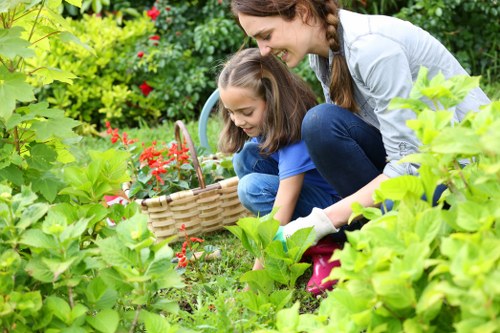 Professional garden upkeep in Mortlake including pruning and lawn care