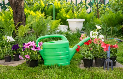 Mortlake backyard garden maintenance with tidy borders and green lawn
