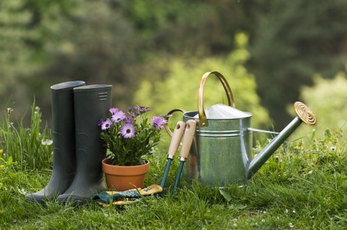 Tidied backyard lawn in Mortlake ready for outdoor use