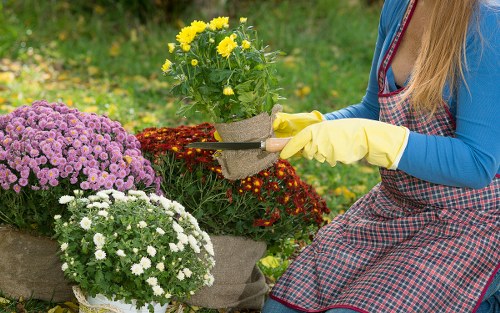 Visual of a gardener discussing a completed garden maintenance issue