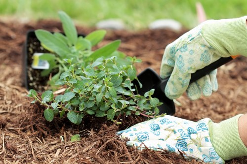 Professional garden waste removal and tidy-up in Mortlake