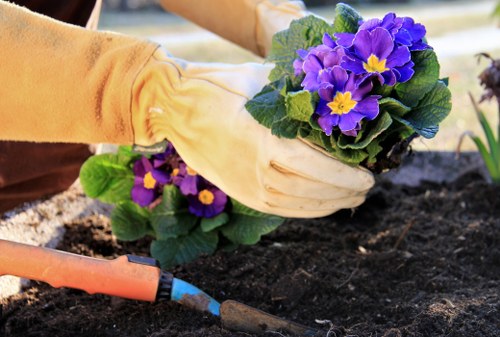 Hardscaping and planting features in a Mortlake landscape design