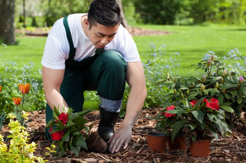 Continuous improvement in garden health and safety