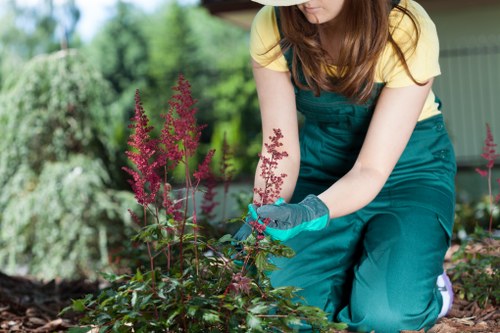 Seasonal garden care in Mortlake with shrubs and hedges
