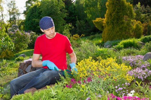 Aeration and soil improvement for lawn care in Mortlake