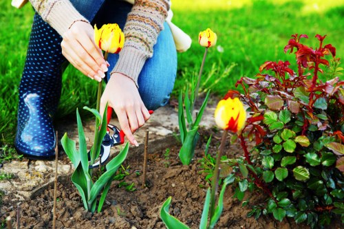 Transfer station waste handling for Mortlake gardening services