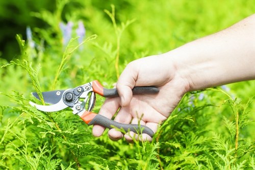 Training and protective equipment in garden work