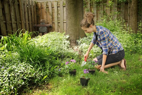 Fertilising a healthy lawn in Mortlake for strong growth