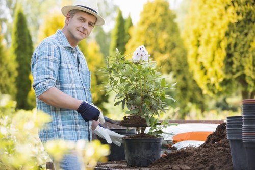 Picture of a calm complaints resolution process for garden maintenance