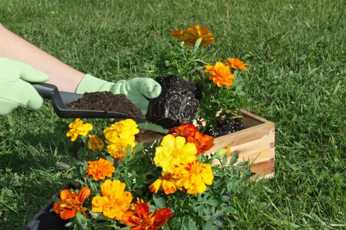 Mortlake garden care team focusing on tidy, sustainable maintenance