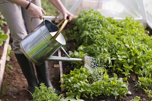 Lawn mowing service working on a suburban garden in Mortlake