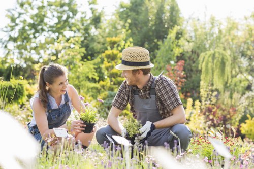 Seasonal garden maintenance in Mortlake with healthy planting beds