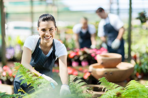 Gardeners Mortlake creating a well-kept outdoor space