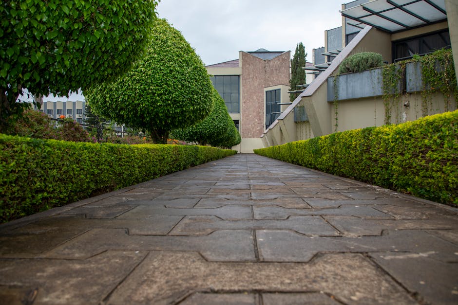 A low-angle view of a well-maintained garden pathway made of rectangular stone pavers, flanked by neatly trimmed hedges with vibrant green foliage. On the left, the hedges are rounded and uniform, whi