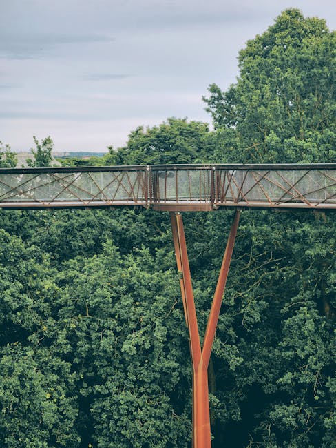 A high-angle view of a weathered metal pedestrian bridge with rusted railings and a glass panel in the center, spanning over lush green trees and dense foliage. The bridge's supporting V-shaped rust-c
