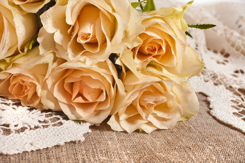 flower borders Garden